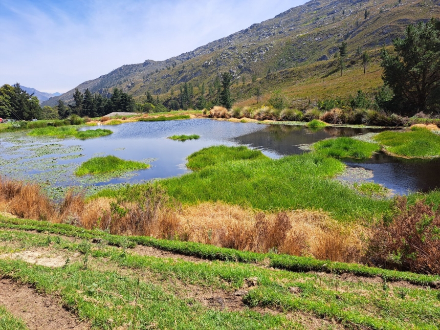 7 Bedroom Property for Sale in Riversdale Rural Western Cape